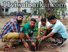 Poda Ropan (Plantation) ROSE WOOD (PURPLE FLOWER) Plants planted at Darbar Roshan Peer (Sheikh Abdul Qadir Jilani), Roshani Ground Purani Sabji Mandi Ludhianan By Ya Ghause Azam Dastgir Trust (Regd), on 01 August, 2019