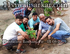 Poda Ropan (Plantation) ROSE WOOD (PURPLE FLOWER) Plants planted at Darbar Roshan Peer (Sheikh Abdul Qadir Jilani), Roshani Ground Purani Sabji Mandi Ludhianan By Ya Ghause Azam Dastgir Trust (Regd), on 01 August, 2019