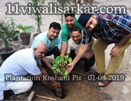 Poda Ropan (Plantation) ROSE WOOD (PURPLE FLOWER) Plants planted at Darbar Roshan Peer (Sheikh Abdul Qadir Jilani), Roshani Ground Purani Sabji Mandi Ludhianan By Ya Ghause Azam Dastgir Trust (Regd), on 01 August, 2019