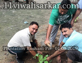 Poda Ropan (Plantation) ROSE WOOD (PURPLE FLOWER) Plants planted at Darbar Roshan Peer (Sheikh Abdul Qadir Jilani), Roshani Ground Purani Sabji Mandi Ludhianan By Ya Ghause Azam Dastgir Trust (Regd), on 01 August, 2019